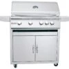 RCS Grills Stainless Steel 32'' Premier Freestanding Grill-NG