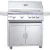 RCS Grills Stainless Steel 32'' Premier With Lights Freestanding Grill-NG