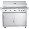 RCS Grills Stainless Steel 40 Premier With Lights Freestanding Grill-NG