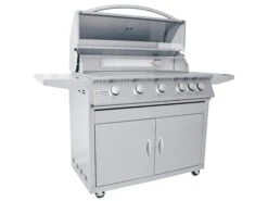 RCS Grills Stainless Steel 40 Premier With Lights Freestanding Grill-LP 12 RCS Grills Stainless Steel 40 Premier With Lights Freestanding Grill-LP -Patio Vibe Store RCRJC40ALPCK3 zm